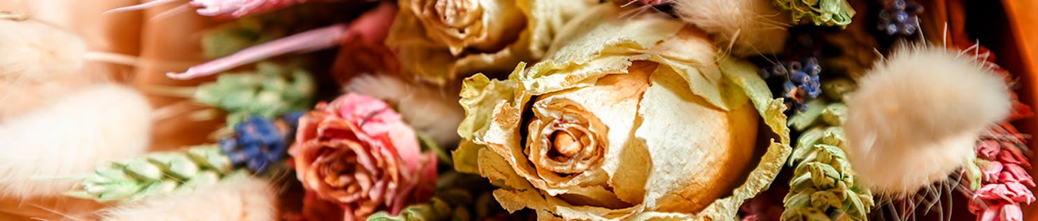 Tørkede roser Nærbilde av en bukett tørkede blomster.